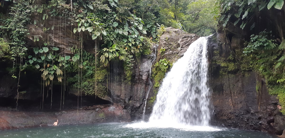 Countryside in Basse-Terre, Guadeloupe
