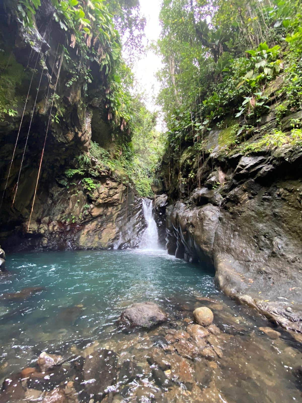 Rainforest waterfall in Guadeloupe