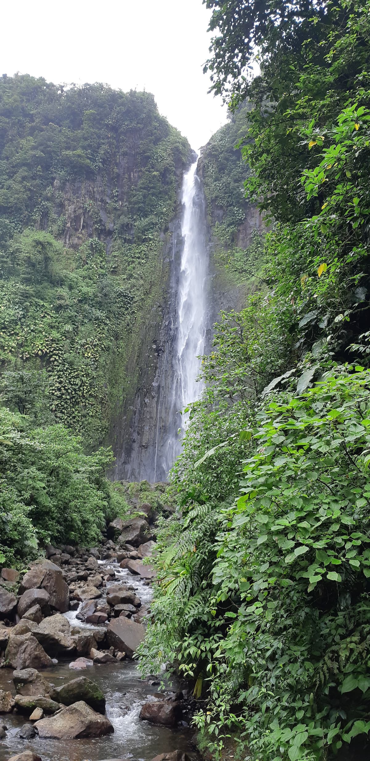 Chutes du Carbet