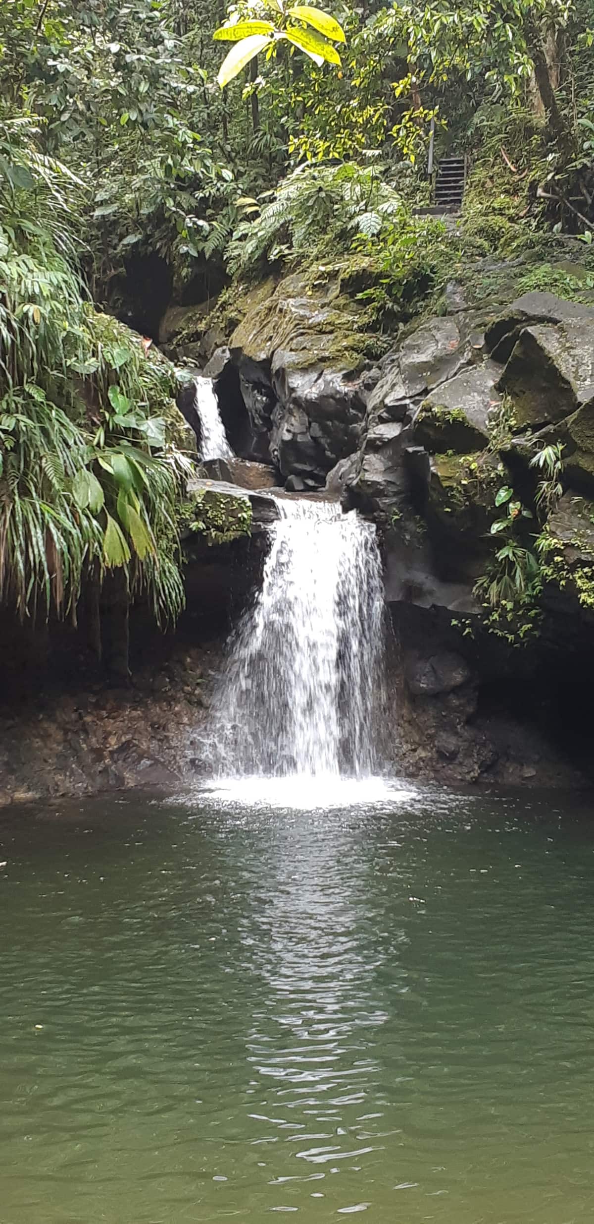 Scenic road and nature spot in Guadeloupe