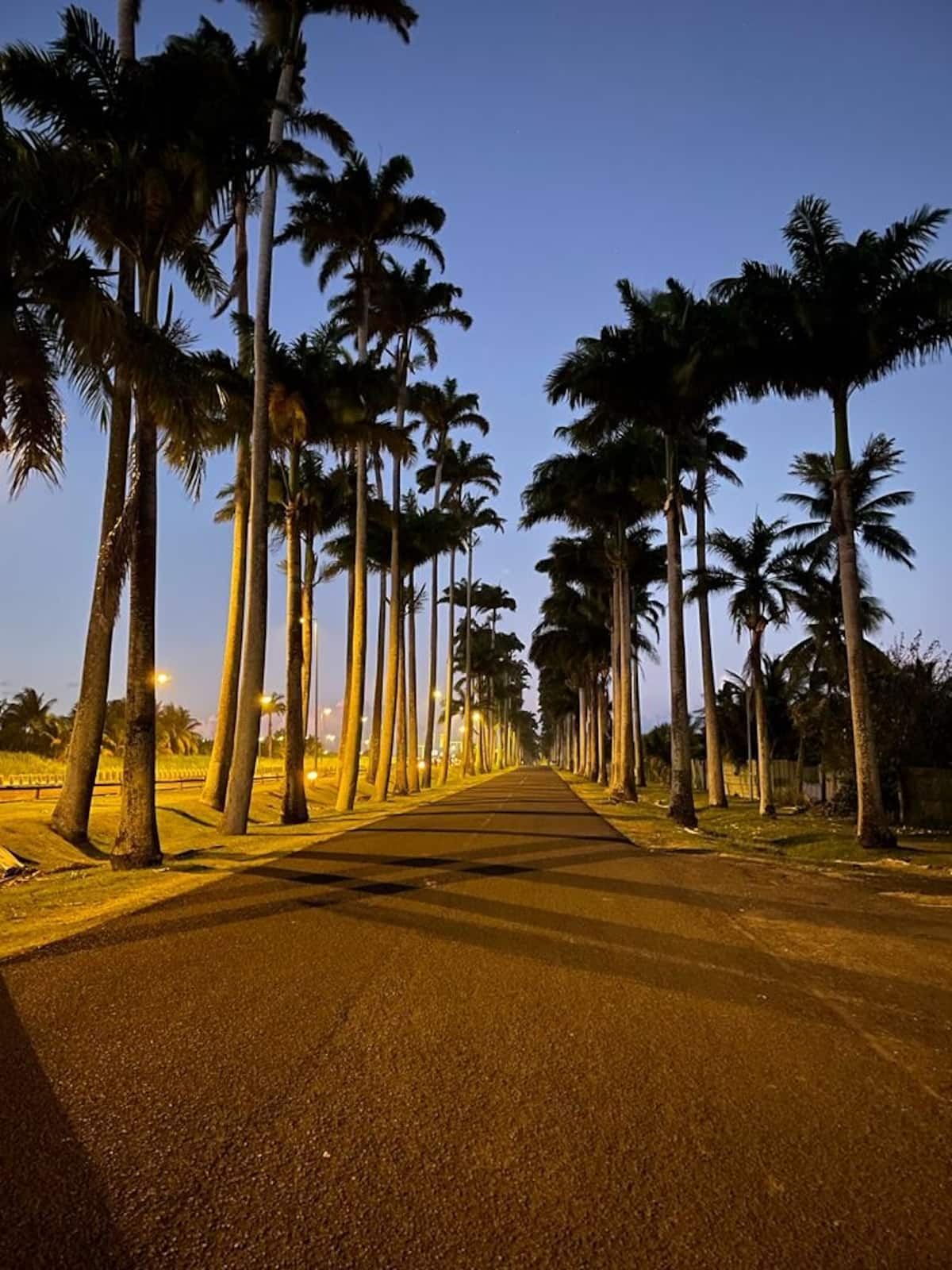 Sightseeing in Guadeloupe